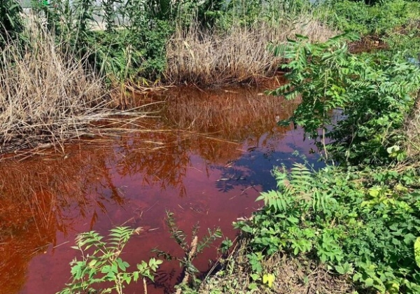 В Одессе обнаружили вещество неизвестного происхождения с резким запахом 
