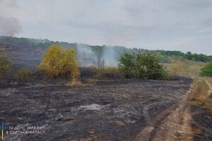 В Одесской области загорелись почти 30 гектар леса