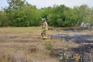 В Одесской области загорелись почти 30 гектар леса