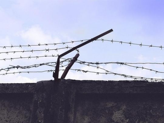 Деяким українкам одноразово виплатять по 80 тисяч гривень: кого це стосується та як оформити заявку