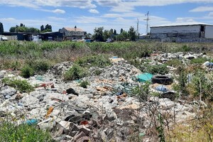 В Одессе стало больше мусорных свалок 