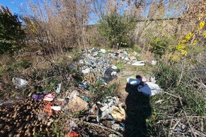 В Одессе стало больше мусорных свалок 
