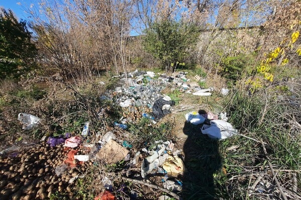В Одессе стало больше мусорных свалок 