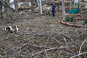 Над Одесской областью сбили восемь ракет: последствия обстрелов