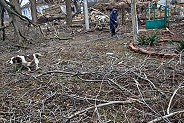 Над Одесской областью сбили восемь ракет: последствия обстрелов