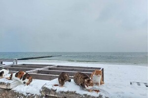 Гололед и санки: в Одессу пришла настоящая зима (фото)