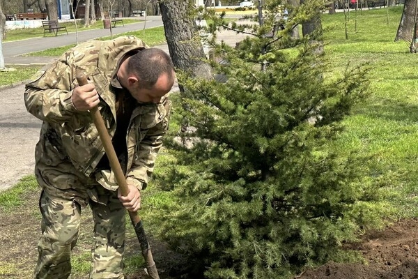 В Одессе высадили клены, вишни, акации и кедры