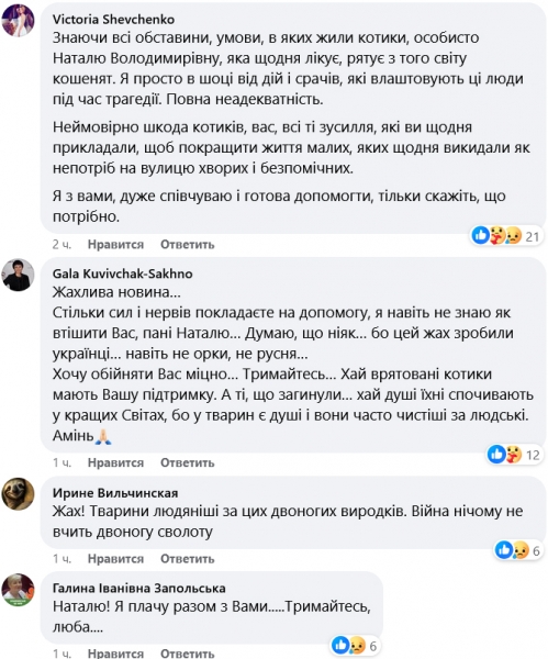 У Києві невідомі спалили притулок для кішок, десятки тварин загинули (фото, відео)