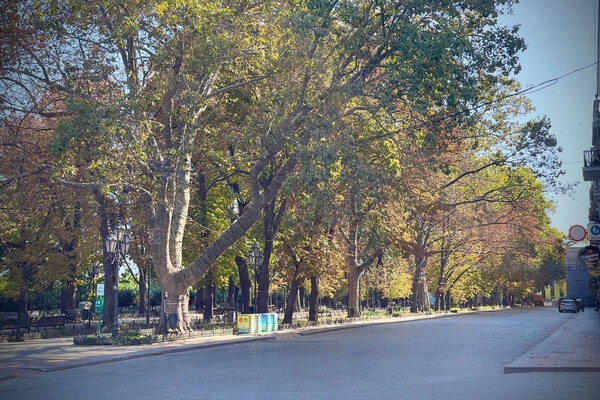 В Одессе откроют для пешеходов Приморский бульвар