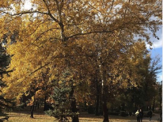 На вихідних в Україні — майже літо: на Одещині очікують до +30!