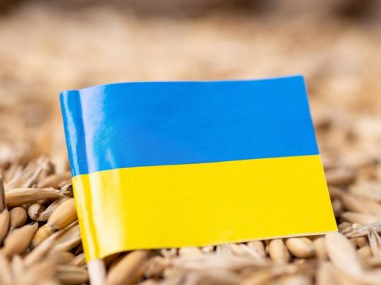 Прорив у вирішенні проблеми експорту українського зерна: про що домовилися Київ, Варшава та Вільнюс