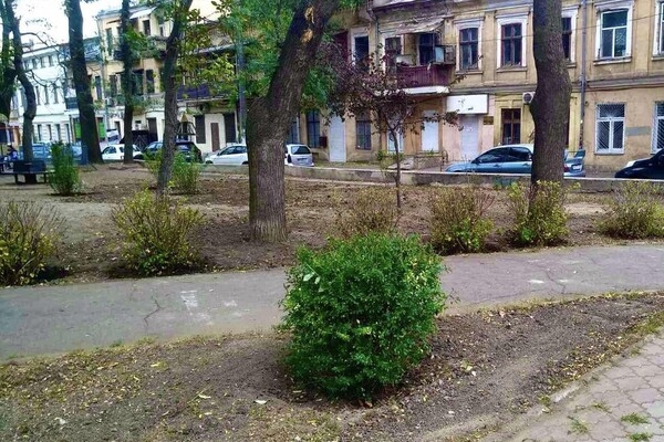 В Одессе преображают Старобазарный сквер