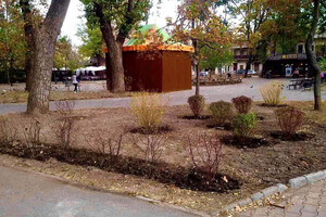 В Одессе преображают Старобазарный сквер