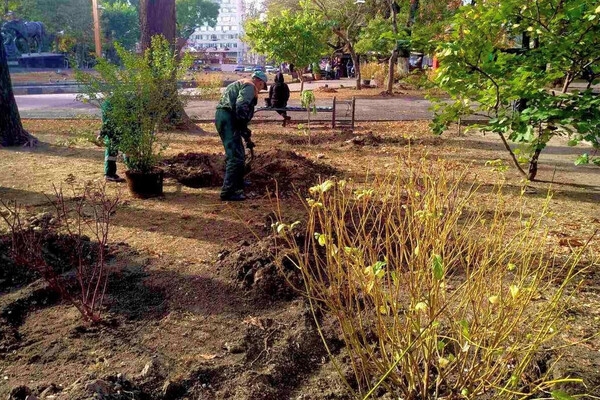 В Одессе преображают Старобазарный сквер