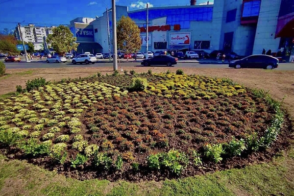 В Одессе преображают Старобазарный сквер