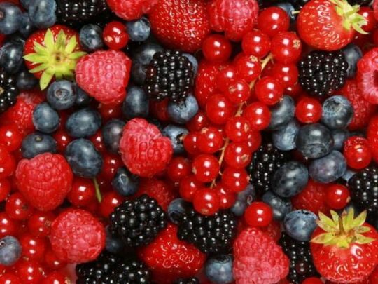 Захищають від онкології: чому потрібно вживати продукти із антоціанами