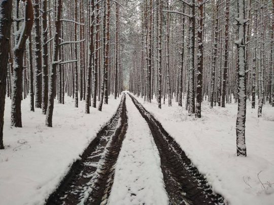 Морози посиляться, а на півдні тепло, навіть з «плюсами»: яка погода чекає українців найближчими днями