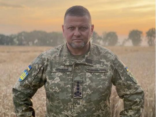 «Менеджер президента»: у Зеленського не поділяють побоювань народу та партнерів, пов'язаних із звільненням Залужного