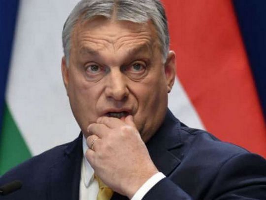 Угорщина вимагає визнати всю Закарпатську область «традиційно угорською», — ЗМІ