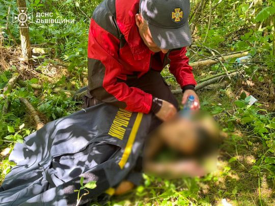 Шукали тиждень: на Львівщині врятували 11-річну дівчинку з прикордонного міста