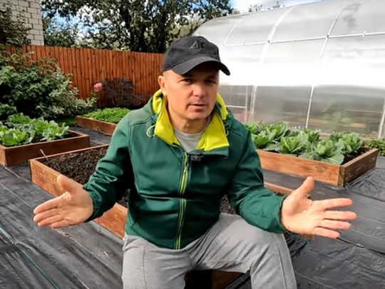 Посадка озимого часнику: випробувані терміни і лайфхаки від аграрія з Київщини