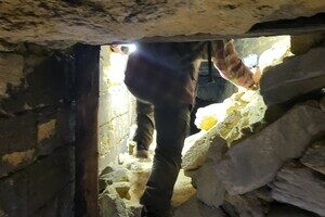 В Одессе спасли лиса из катакомб: он попал там в ловушку В Одессе спасли лиса из катакомб: он попал там в ловушку