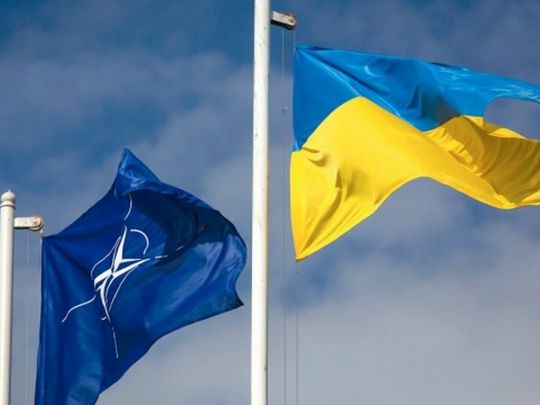 США ніколи не приймуть Україну до НАТО, — німецький політик