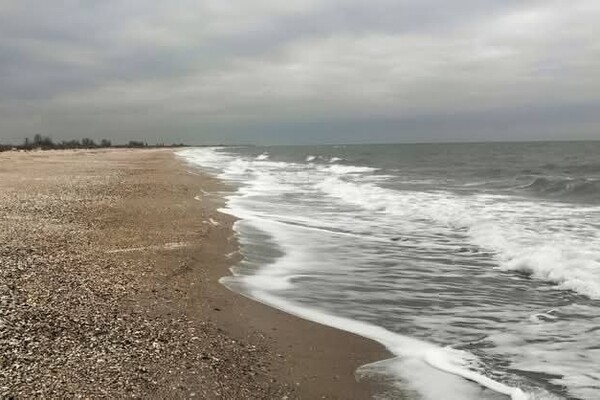На побережье Одесской области снова обнаружили мазут