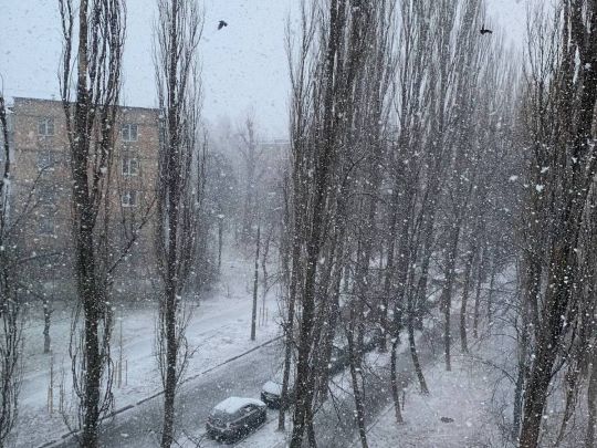 З'явився шанс побачити взимку сніг: похолодання прийшло в Україну разом із опадами