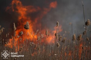 В Одесском районе горит сухостой: огонь распространился на территорию нацпарка