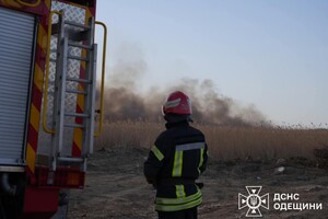 В Одесском районе горит сухостой: огонь распространился на территорию нацпарка