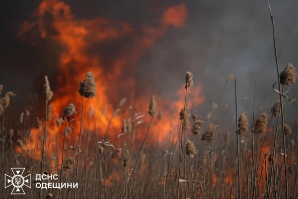 В Одесском районе горит сухостой: огонь распространился на территорию нацпарка