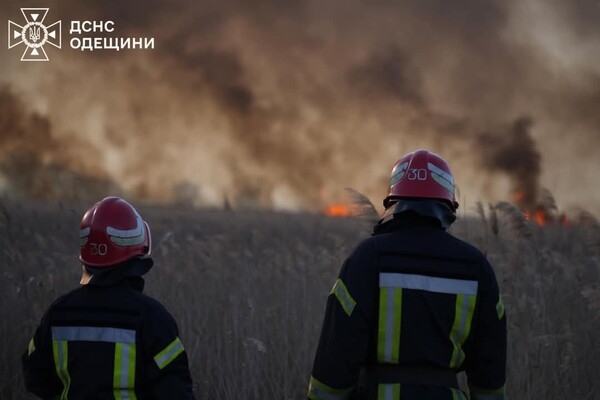 В Одесском районе горит сухостой: огонь распространился на территорию нацпарка