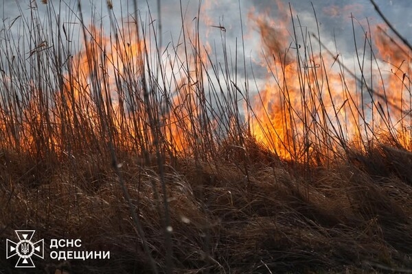 В Одесском районе горит сухостой: огонь распространился на территорию нацпарка
