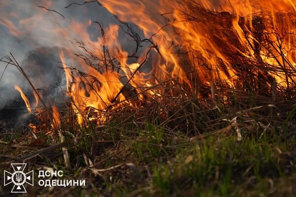 В Одесском районе горит сухостой: огонь распространился на территорию нацпарка