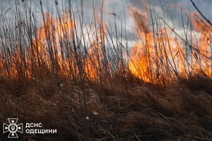 В Одесском районе горит сухостой: огонь распространился на территорию нацпарка