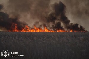 В Одесском районе горит сухостой: огонь распространился на территорию нацпарка