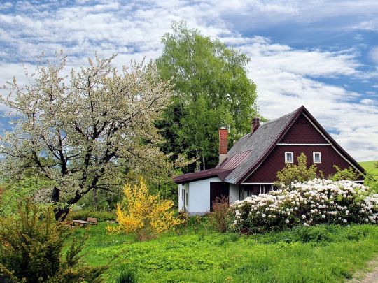 Всього два несприятливі дні: місячний календар городника на квітень-2025