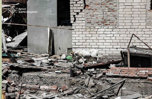 Атака на Харків та область: внаслідок ударів загинула жінка, багато поранених, є прильоти
