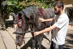 Повреждения гражданских объектов и более десятка раненых: последствия дроновой атаки на Одессу