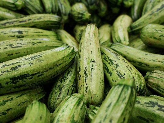 Заморожуємо кабачки на зиму: як не зіпсувати продукт