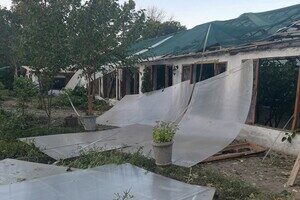 РФ обстреляла Ботанический сад Одессы: получили повреждения теплицы и растения РФ обстреляла Ботанический сад Одессы: получили повреждения теплицы и растения