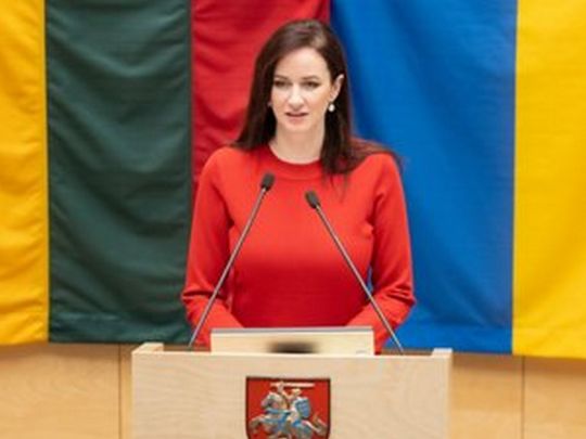 Блокування Угорщиною санкцій проти росії та допомоги Україні неприйнятне: у Литві виступили з заявою