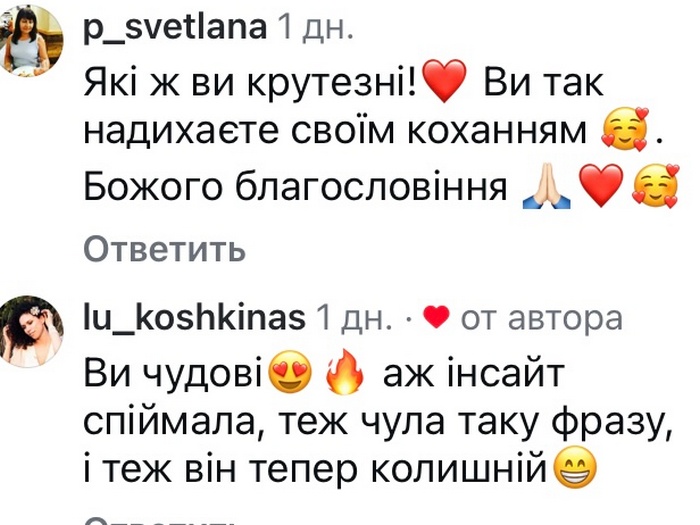 В авто був син і собака: дружина популярного актора потрапила у аварію