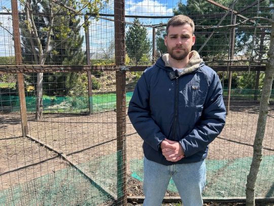 Чупакабра відміняється: тварин у приватному розсаднику в Кременчуці загризла зграя собак